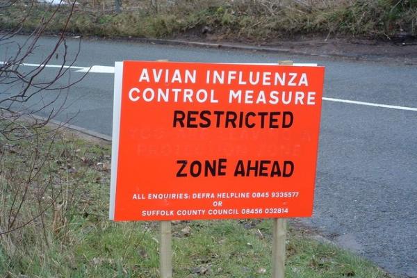 Sign warning of avian influenza